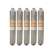 Delicioso Coco Beach Robusto 5 Pack